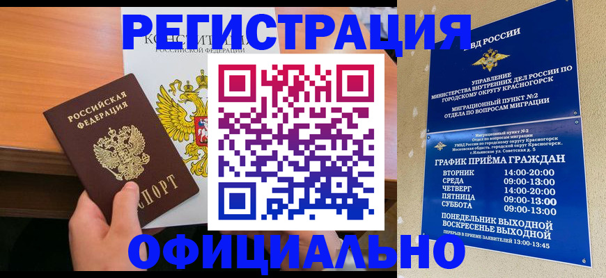 временная регистрация для всех в Болотном